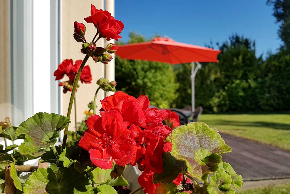 N'héstez pas à me contacter ! Céline TOUFLAN